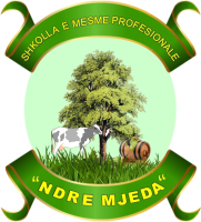 Shkolla Ndre Mjeda