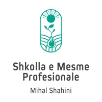Shkolla Mihal Shahini